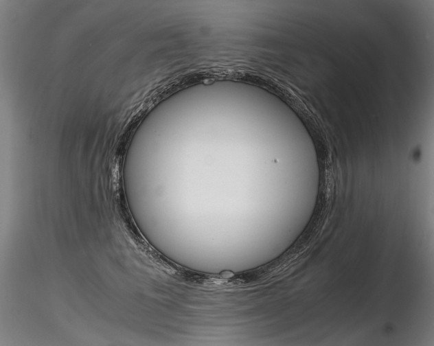 X0000116800613200912181119