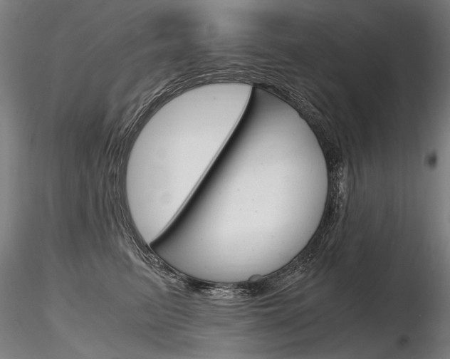 X0000116800615200912181119