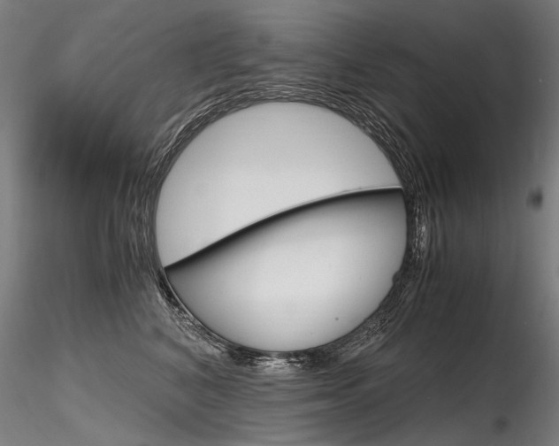 X0000116800616200912181119