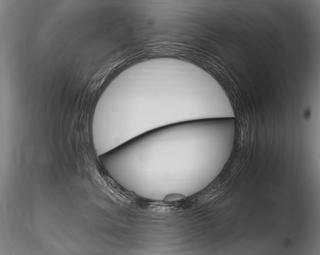 X0000116800620200912181119