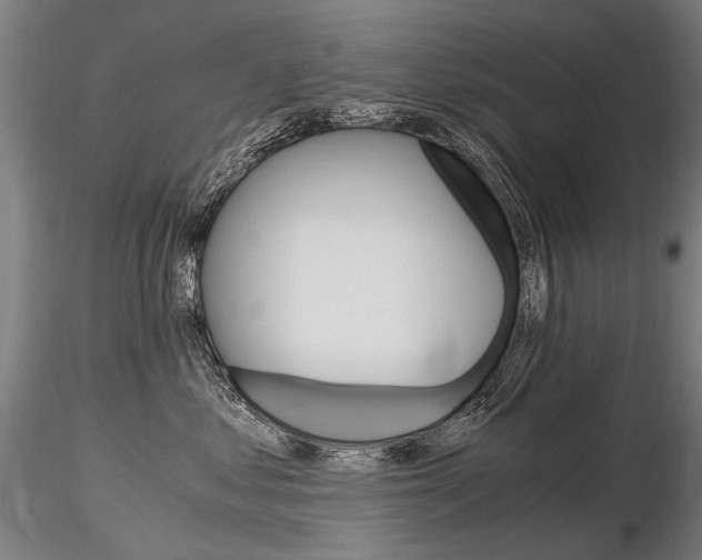 X0000116800621200912181119