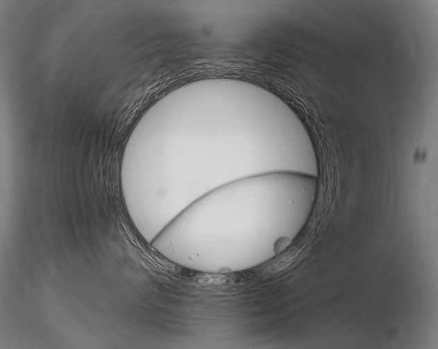 X0000116800624200912181119