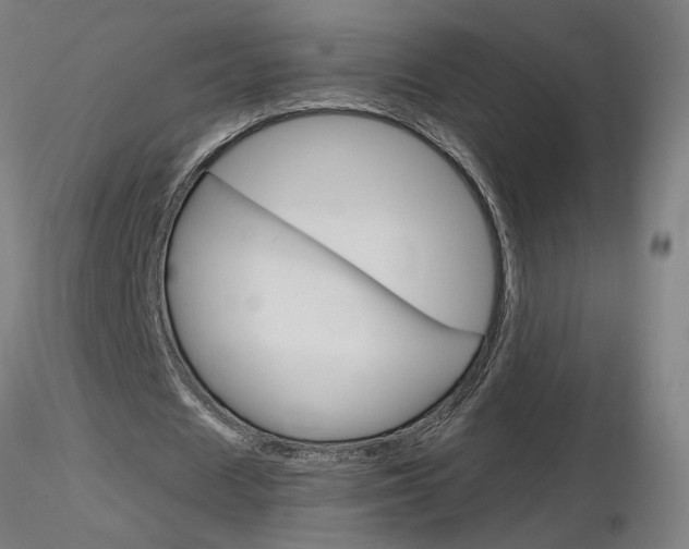 X0000116800625200912181118