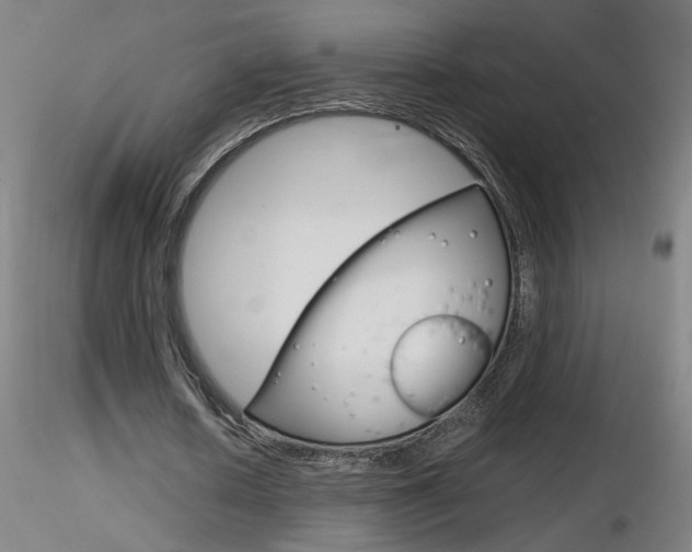 X0000116800626200912181118