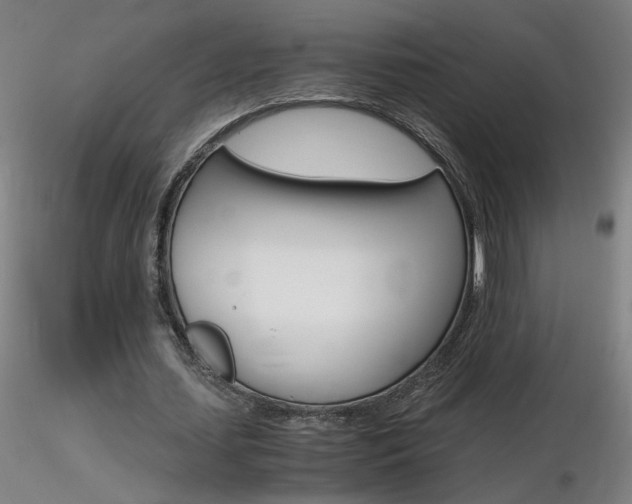 X0000116800627200912181118