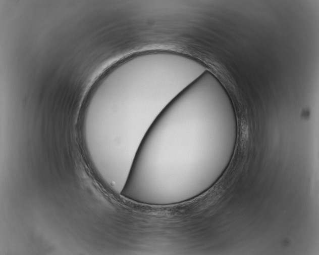 X0000116800628200912181118