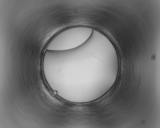 X0000116800629200912181118
