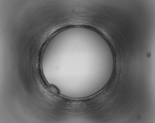 X0000116800631200912181118