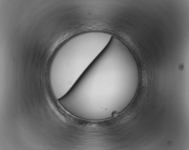 X0000116800634200912181118