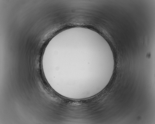 X0000116800635200912181118