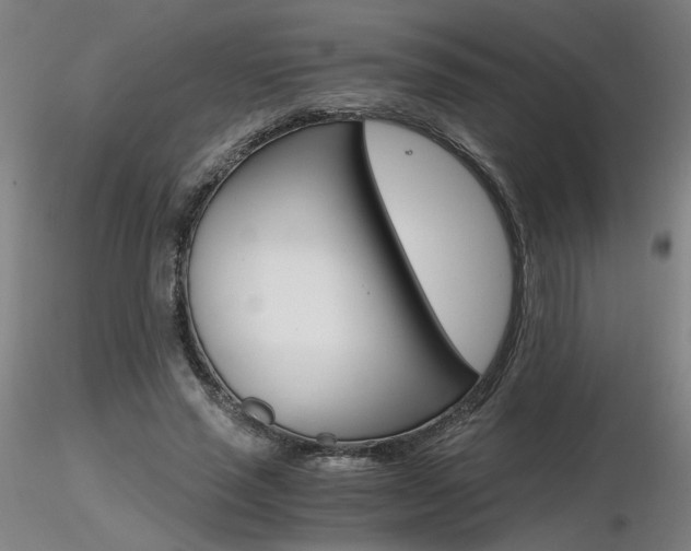 X0000116800637200912181118