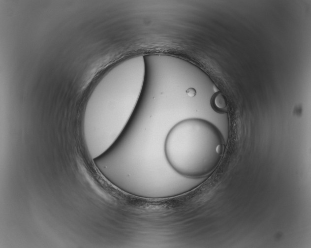 X0000116800638200912181118