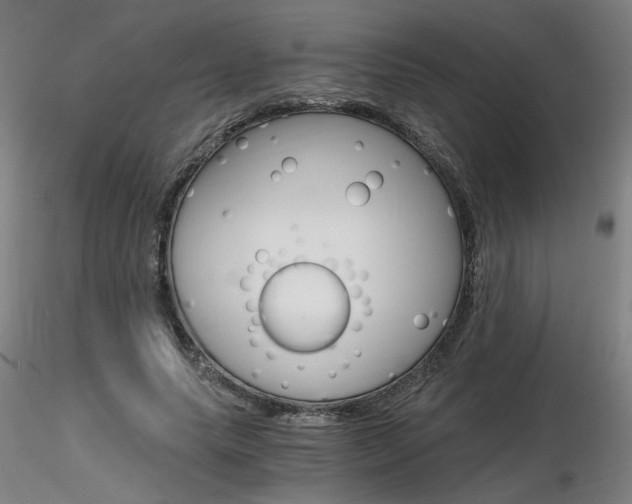 X0000116800639200912181118