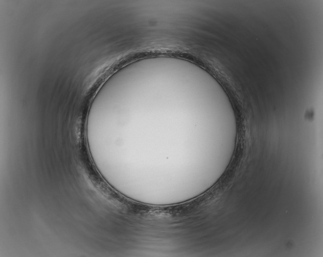 X0000116800640200912181118