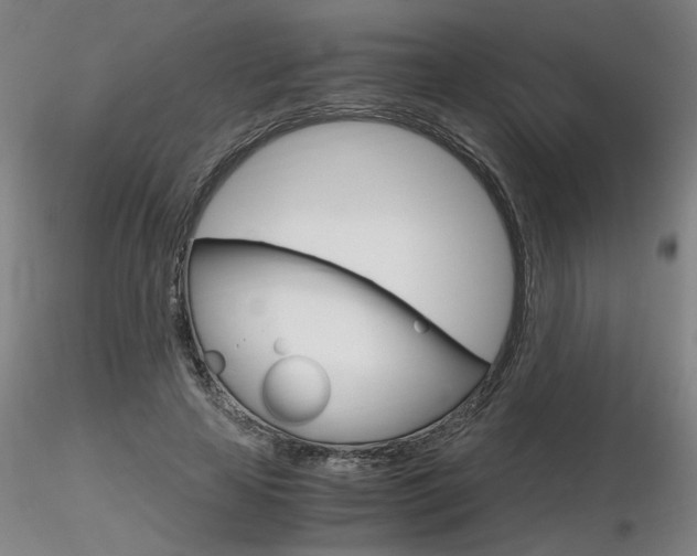 X0000116800641200912181119