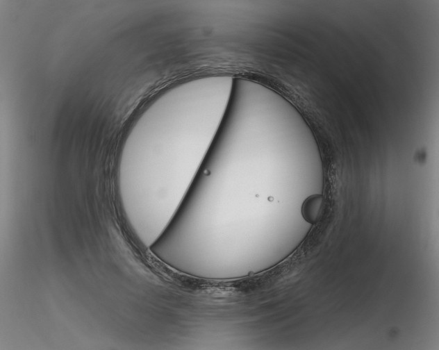 X0000116800642200912181119