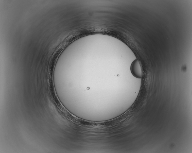 X0000116800643200912181119