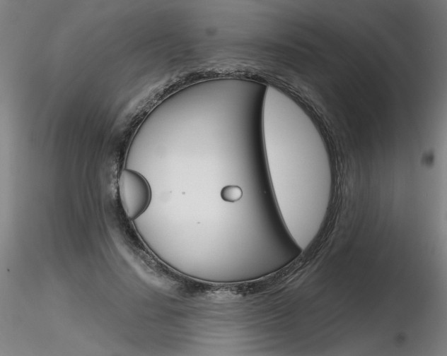 X0000116800644200912181119