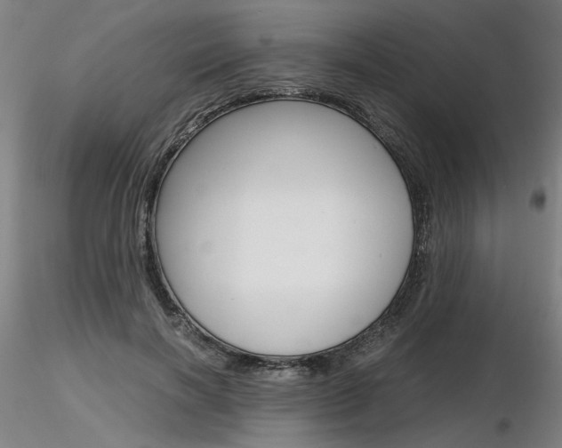 X0000116800646200912181119