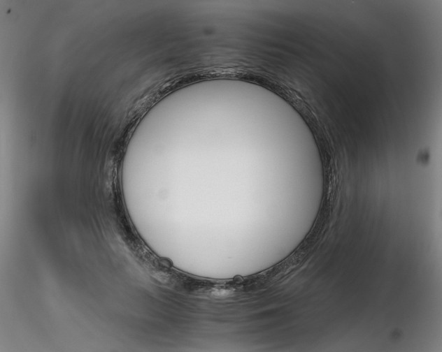 X0000116800647200912181119