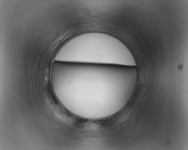 X0000116800648200912181119