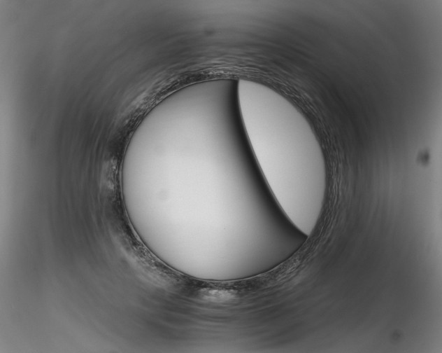 X0000116800649200912181119