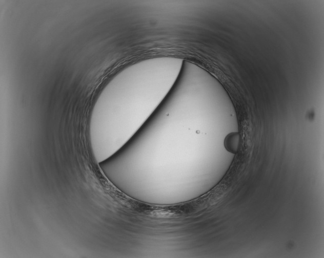 X0000116800650200912181119