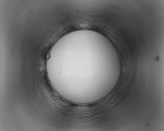 X0000116800651200912181119