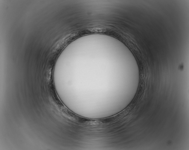 X0000116800652200912181119