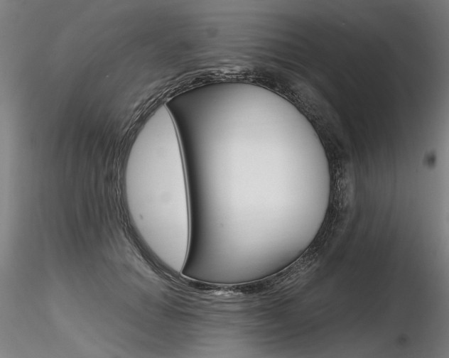 X0000116800654200912181119