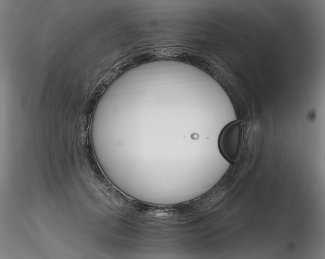 X0000116800655200912181119