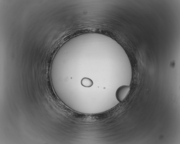 X0000116800656200912181119