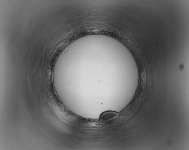 X0000116800657200912181119