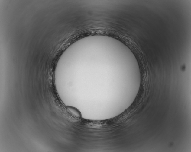 X0000116800661200912181119