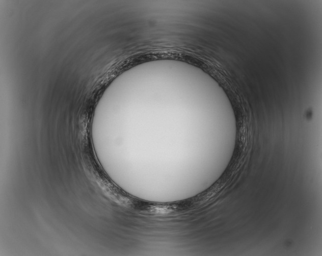 X0000116800662200912181119