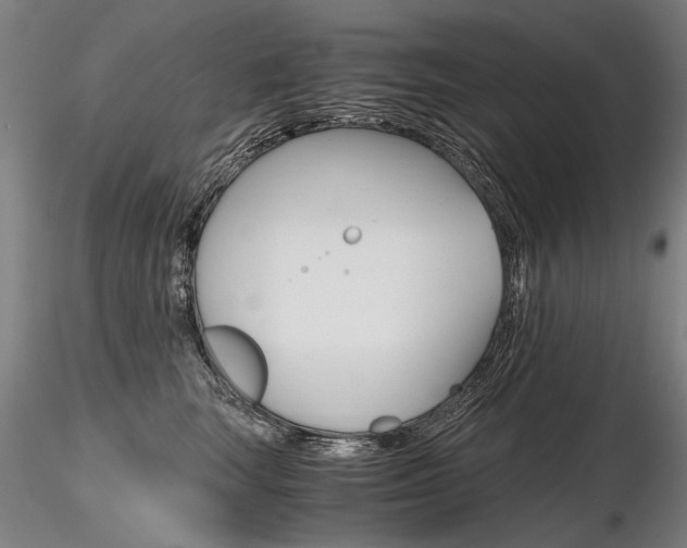 X0000116800663200912181119