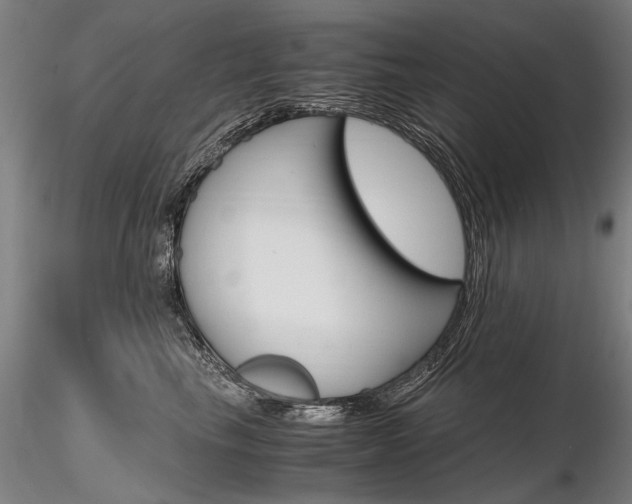 X0000116800665200912181119