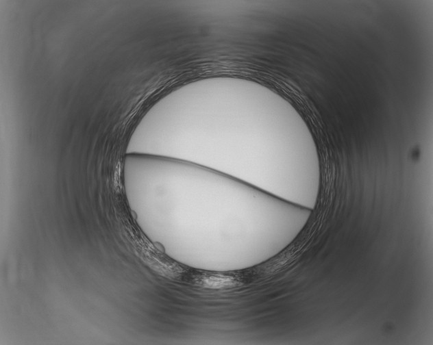 X0000116800669200912181119