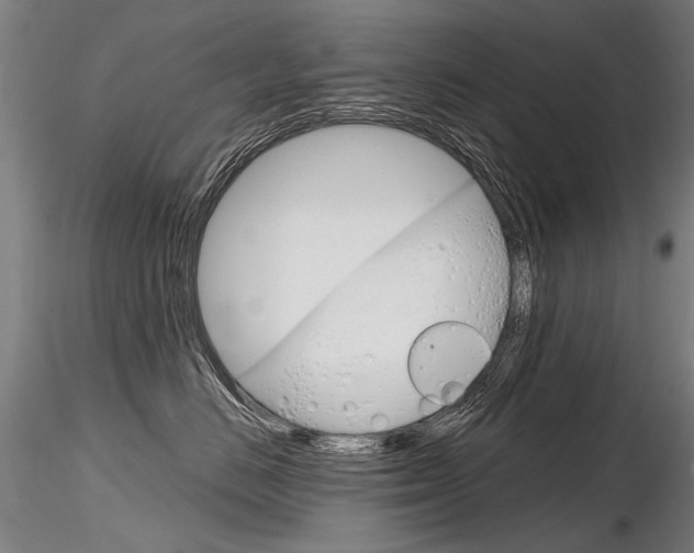 X0000116800670200912181119