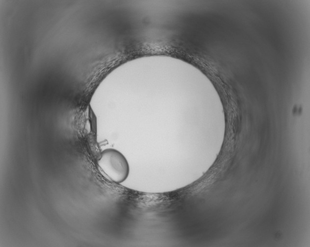 X0000116800672200912181119