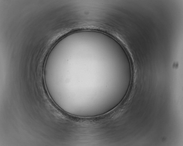 X0000116800673200912181118