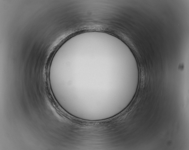 X0000116800674200912181118
