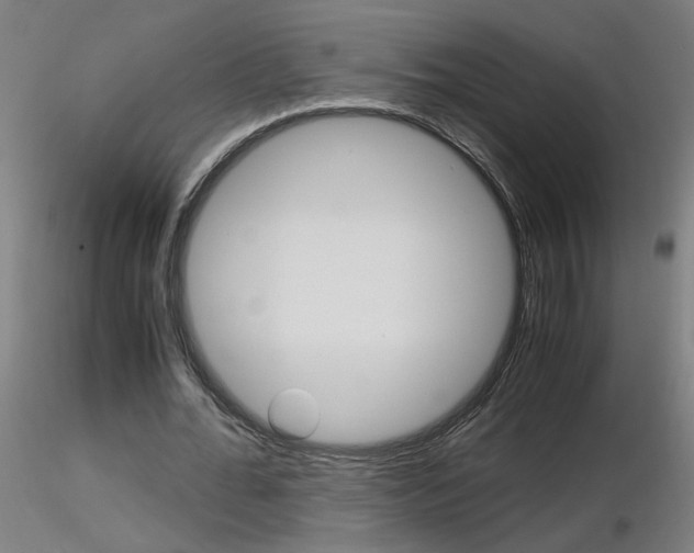 X0000116800676200912181118
