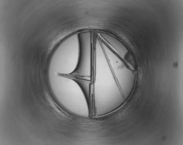 X0000116800677200912181118