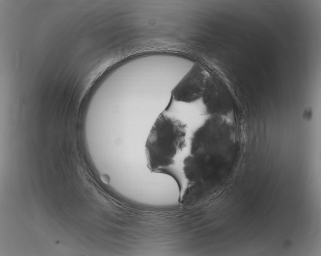 X0000116800679200912181118