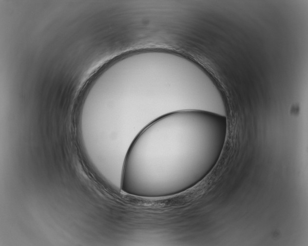 X0000116800680200912181118