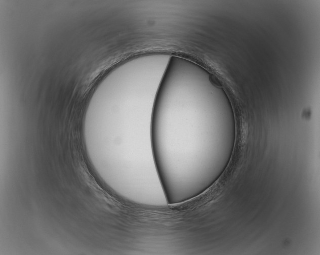 X0000116800681200912181118