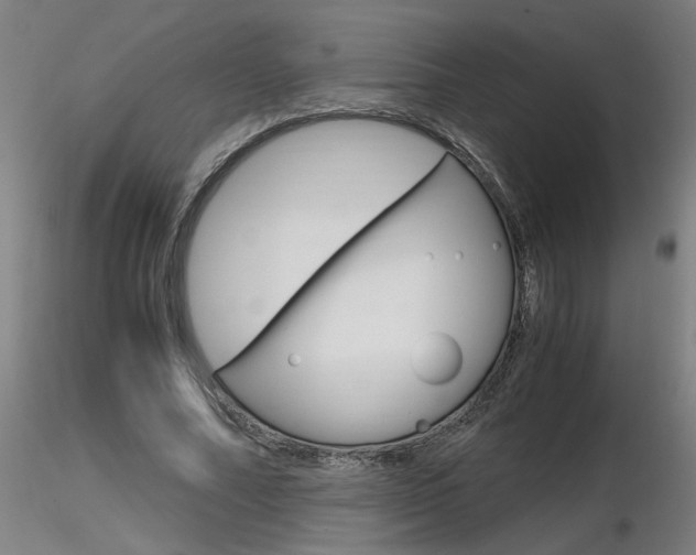 X0000116800682200912181118