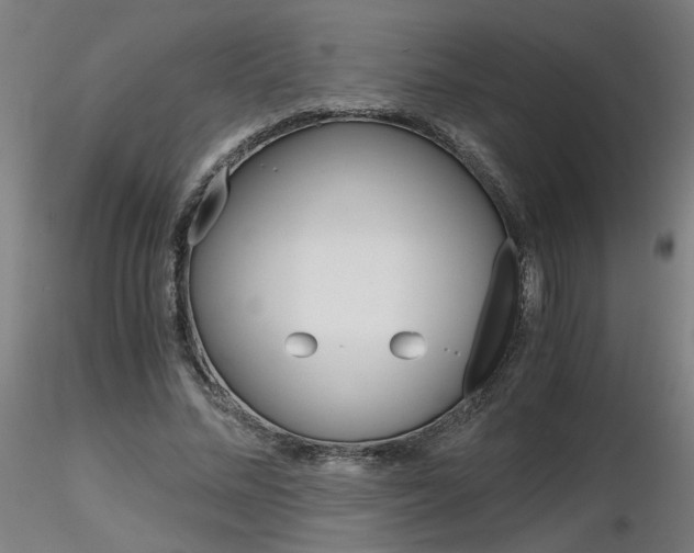 X0000116800684200912181118