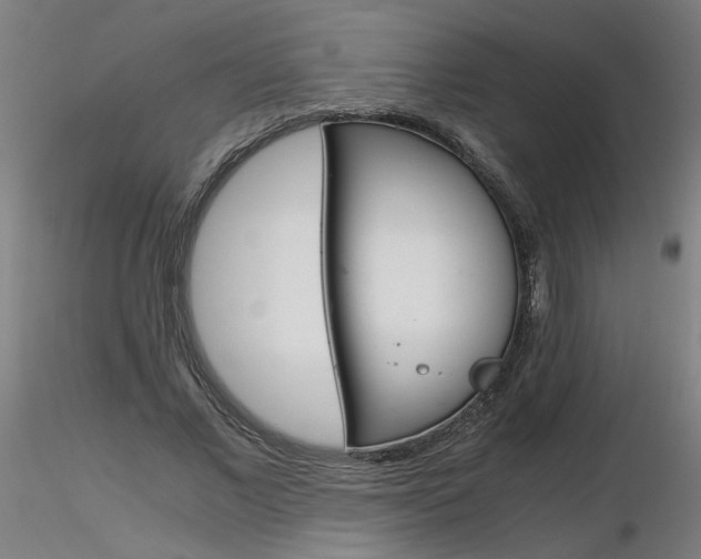 X0000116800685200912181118